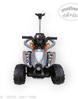 KIDDIES RIDE-ON CAR