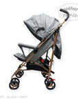 Gray and black stroller with canopy on a white background