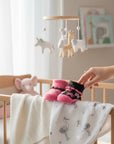 Stork And Baby girls 2 pack socks in pink with floral pattern and brown trim. Gift pack.