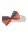 Colorful bow on a white background