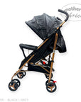 Black and grey stroller with canopy on a white background